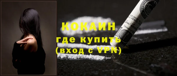 сатива Володарск