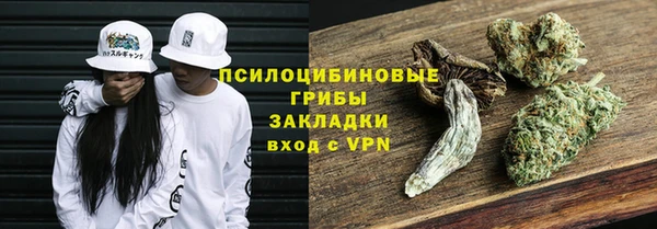 сатива Володарск