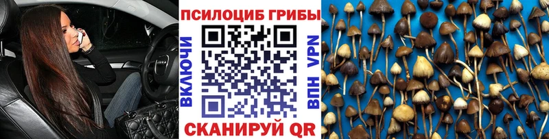 Купить где  Уварово  Галлюциногенные грибы Cubensis 